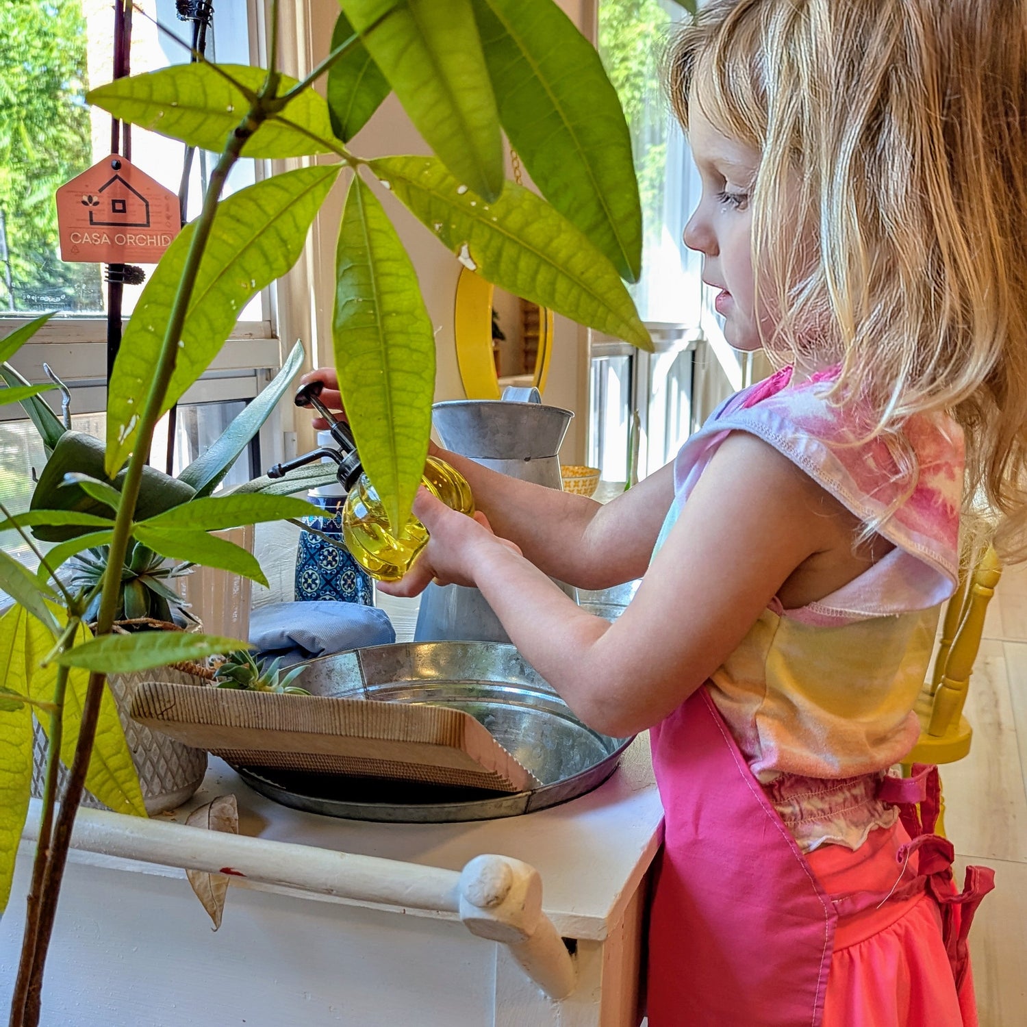 Child in a pink apron watering plants in a kitchen setting